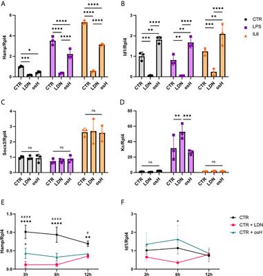 Pharmacological Targeting of BMP6-SMAD Mediated Hepcidin Expression Does Not Improve the Outcome of Systemic Infections With Intra-Or Extracellular Gram-Negative Bacteria in Mice